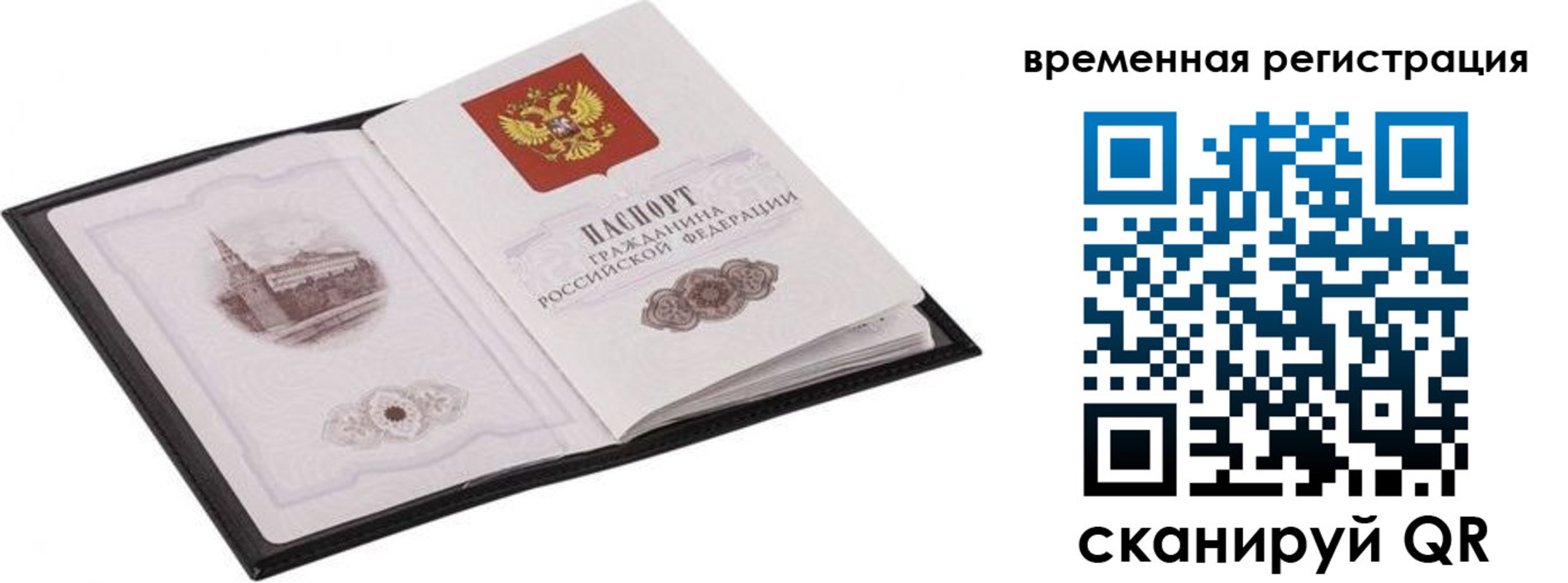 где прописаться в Нелидово